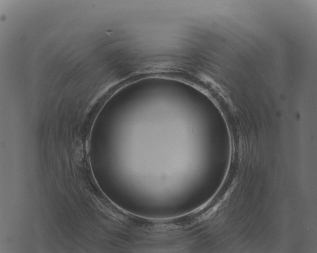 X0000073931449200608181102