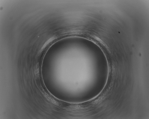 X0000073931450200608181102