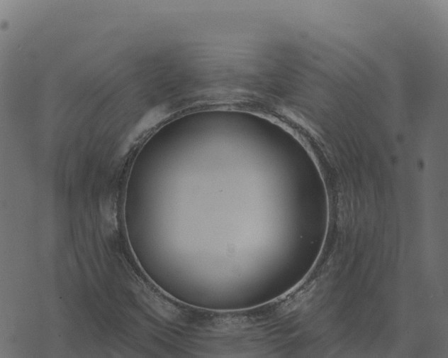 X0000073931451200608181102