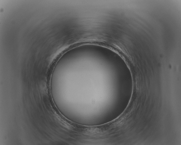 X0000073931452200608181102