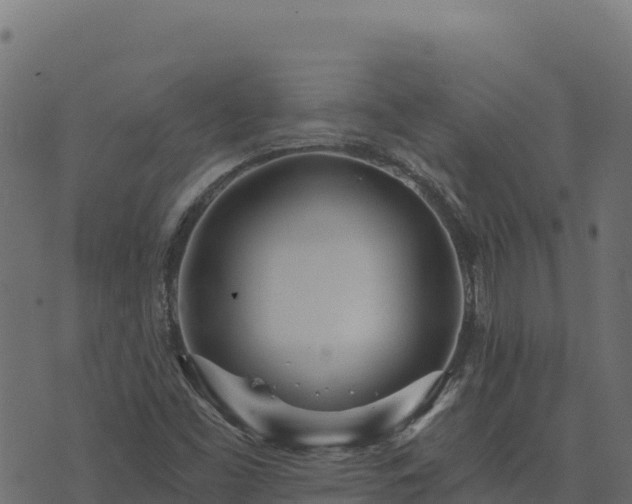 X0000073931453200608181102