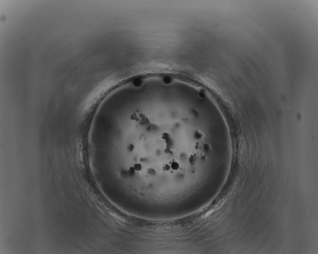 X0000073931455200608181102