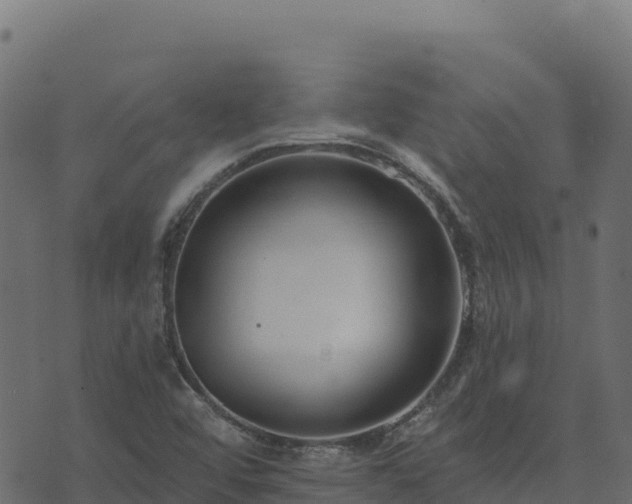 X0000073931456200608181102