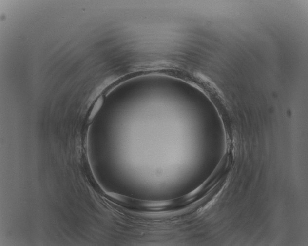 X0000073931457200608181102