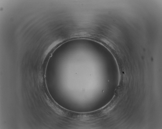 X0000073931458200608181102