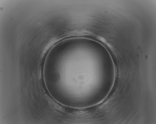 X0000073931459200608181102