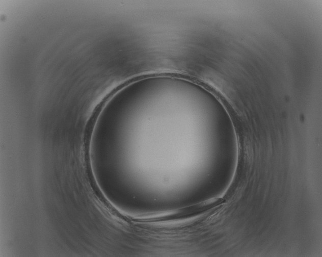 X0000073931460200608181102