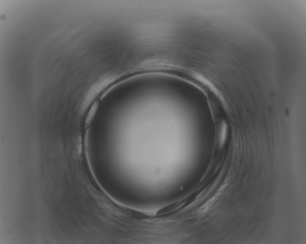 X0000073931461200608181102