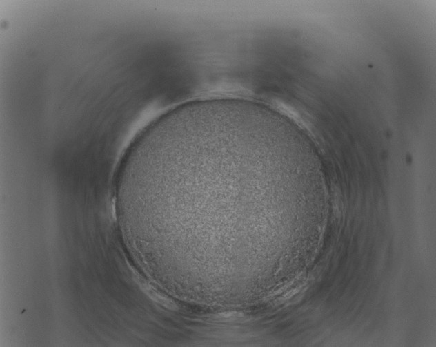 X0000073931462200608181102