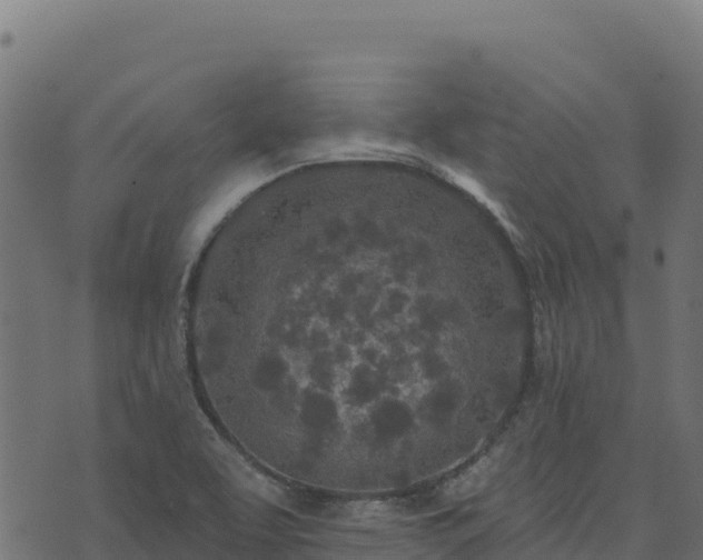 X0000073931463200608181102