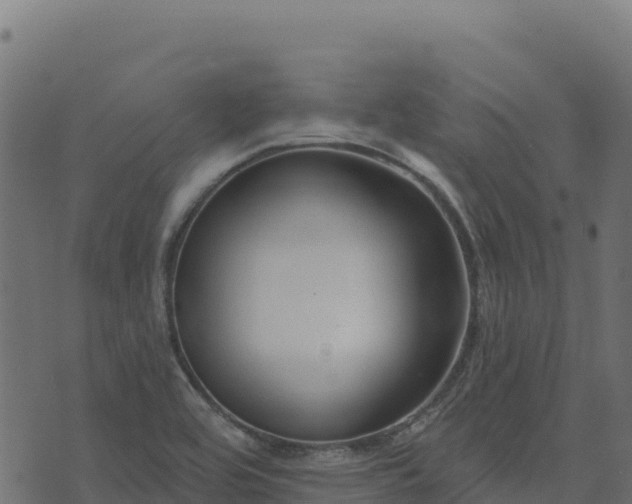 X0000073931464200608181102