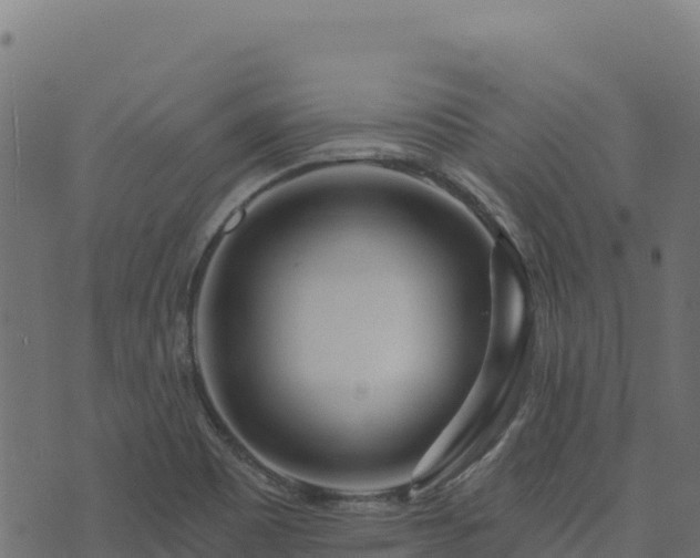 X0000073931465200608181102