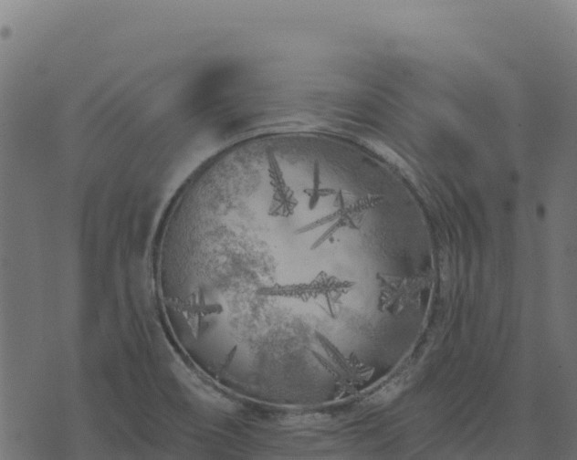 X0000073931466200608181102