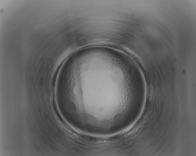 X0000073931467200608181102