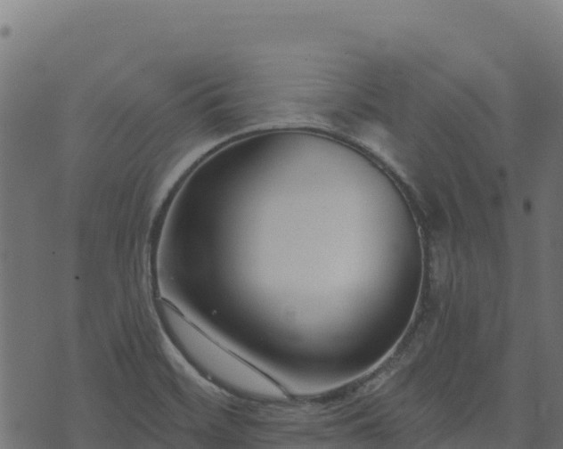 X0000073931468200608181102