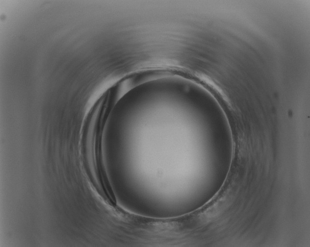 X0000073931469200608181102