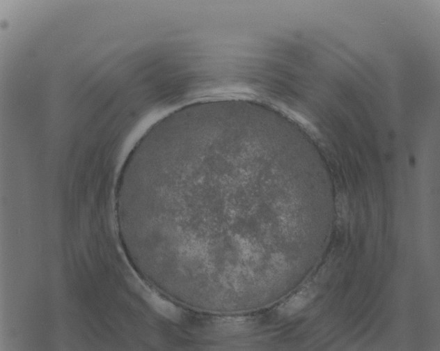 X0000073931470200608181102