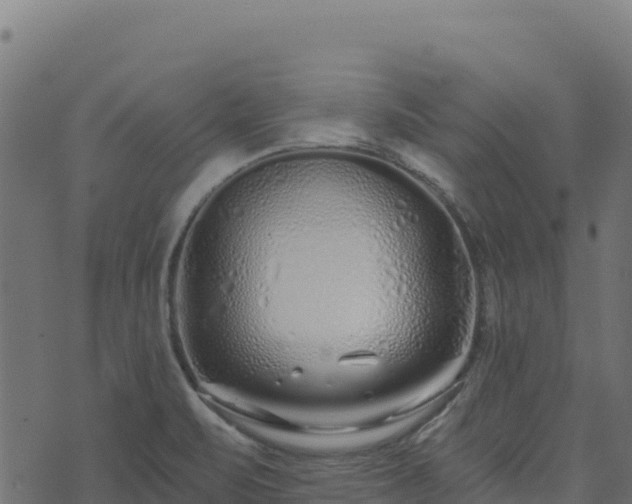 X0000073931471200608181102