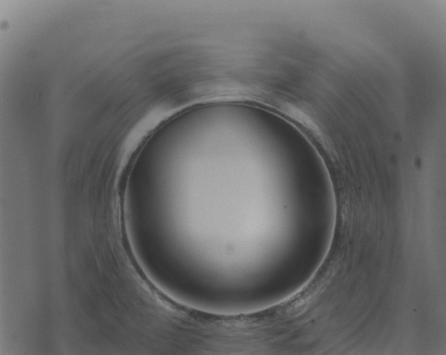 X0000073931472200608181102