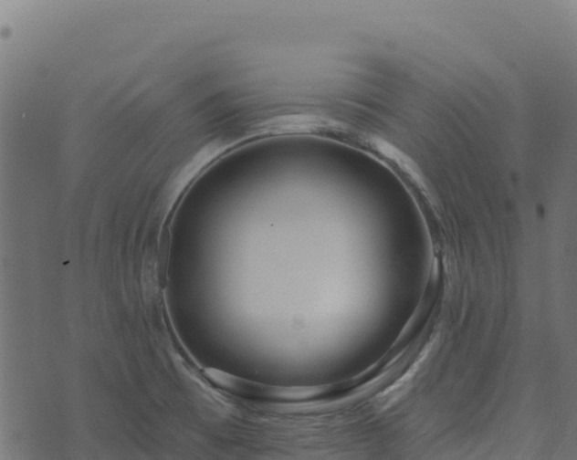 X0000073931473200608181102