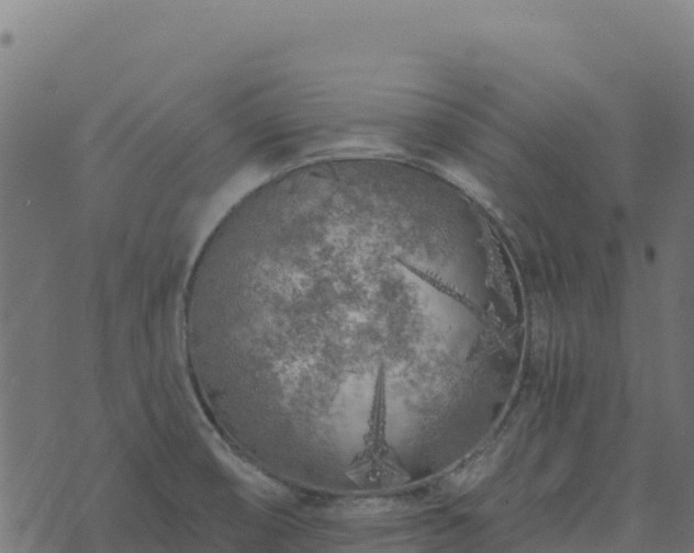 X0000073931474200608181102