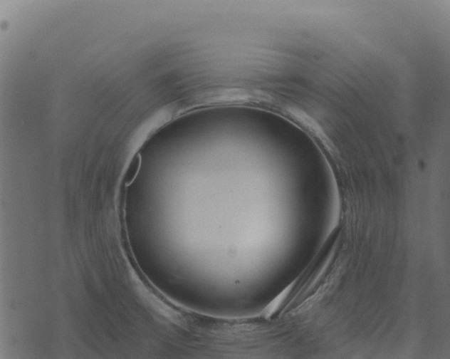 X0000073931475200608181102