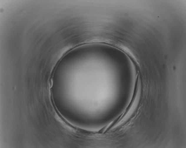 X0000073931476200608181102