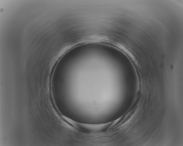 X0000073931477200608181102