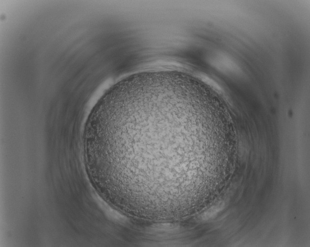 X0000073931478200608181102