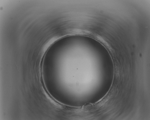 X0000073931479200608181102