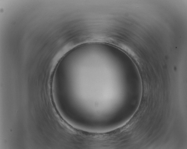 X0000073931480200608181102