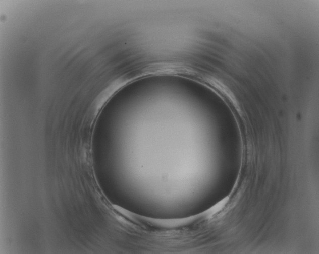 X0000073931481200608181102