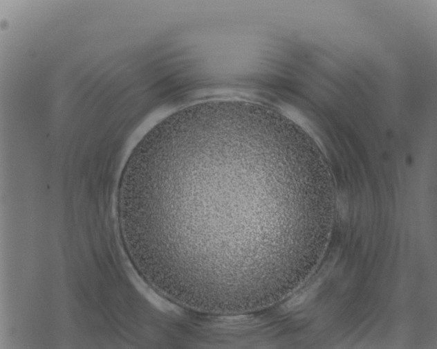 X0000073931482200608181102