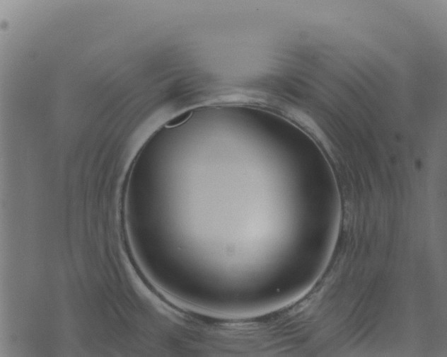 X0000073931483200608181102