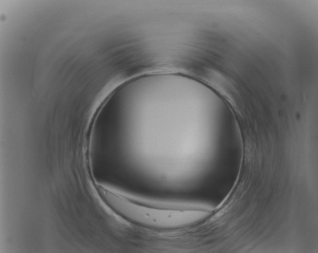 X0000073931484200608181102