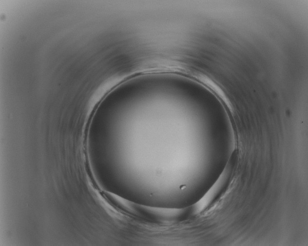 X0000073931485200608181102