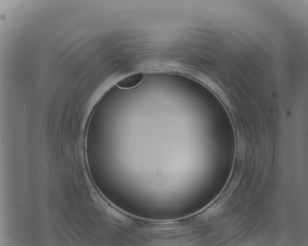 X0000073931486200608181102