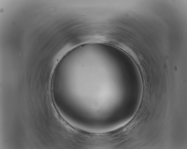 X0000073931488200608181101