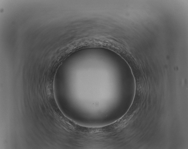 X0000073931490200608181101