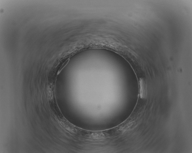 X0000073931491200608181101