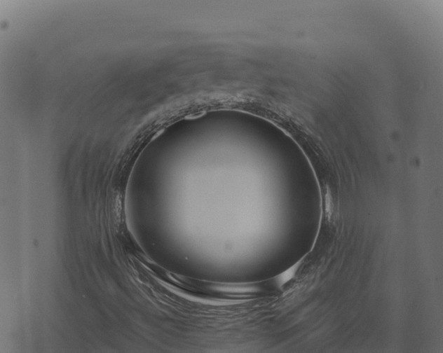 X0000073931492200608181101