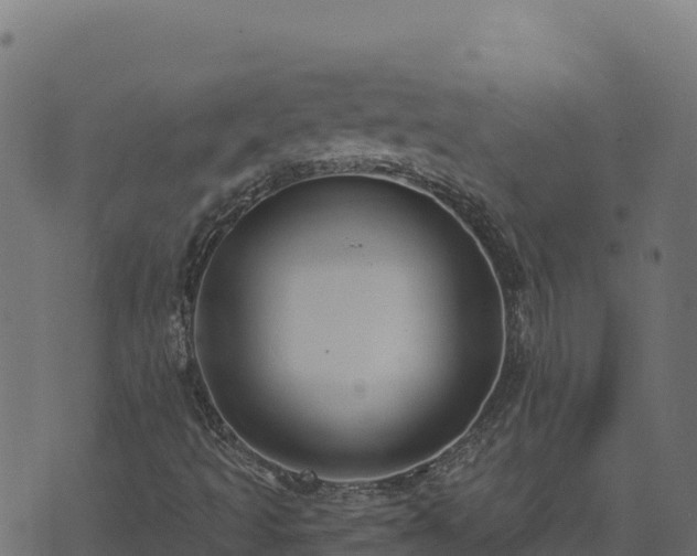 X0000073931493200608181101