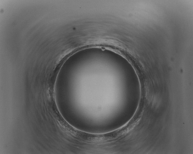 X0000073931497200608181101