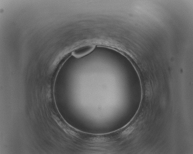 X0000073931499200608181101