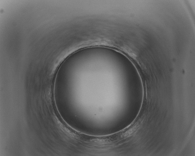 X0000073931500200608181101