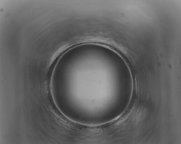 X0000073931501200608181101