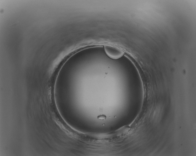 X0000073931503200608181101