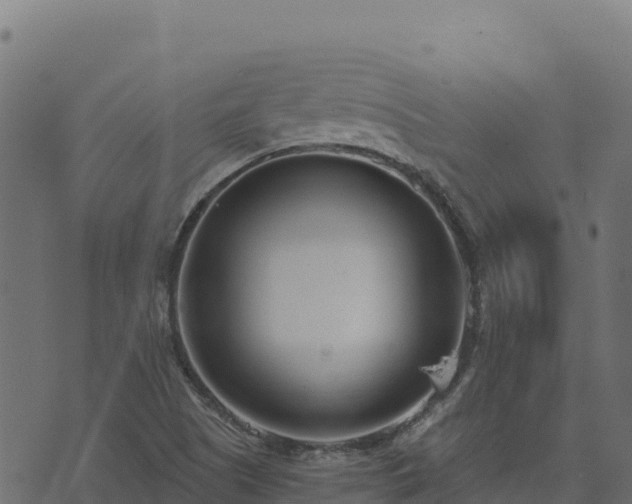 X0000073931505200608181101