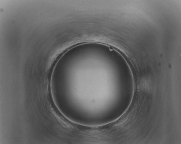 X0000073931507200608181101