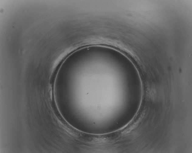 X0000073931509200608181101